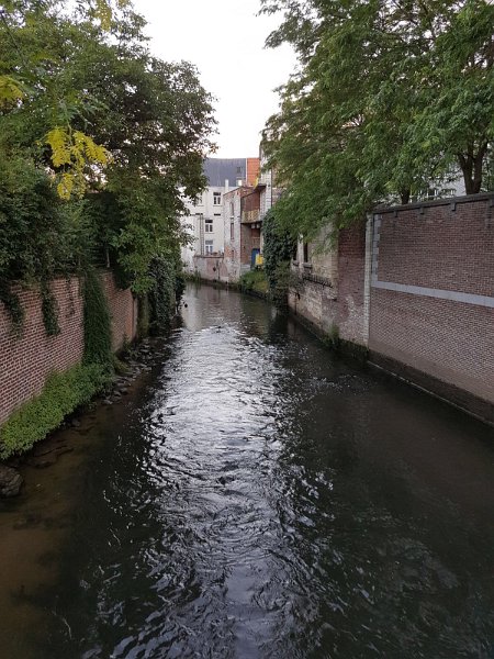 Zaterdagavond (16)